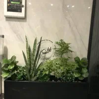 (درخت نخل وارداتی) برگ پهن فلاور باکس درختچه فنیکس|گل مصنوعی|تهران, بروجردی|دیوار