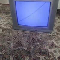 تلویزیون