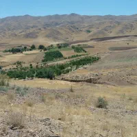 باغ|خدمات باغبانی و درختکاری|خرقان, |دیوار