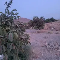 باغچه آماده بهره برداری در        قرخ یاشار