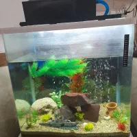 آکواریم با تمام وسایل کاملآ سالم با قیمت استثنایی