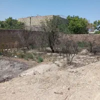 زمین-100متری-فین-بزرگ