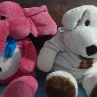 عروسک پولیشی