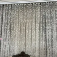 پرده راشل