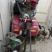 تیلر زنی و گود درخت