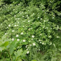 آموزش ریاضی و تمام دروس کارگاه هفتگی