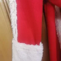 پالتو|لباس|شاهین‌شهر, اقبال لاهوری|دیوار