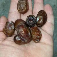 محصولات جنوب|خوردنی و آشامیدنی|محمدشهر, شهرک چمران|دیوار