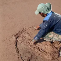 کاهگل آماده