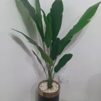 فروش درختچه  های مصنوعی