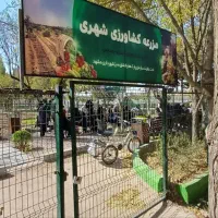 جذب نیرو در کافی‌شاپ و گلخانه|استخدام خدمات فروشگاه و رستوران|مشهد, حجاب (شهرک غرب)|دیوار