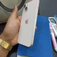 iPhone 13|موبایل|بندرعباس, |دیوار