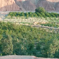 500متر باغ وزمین در دماوند