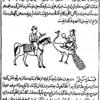 کتاب کلیه امور دعا طالع|کتاب و مجله مذهبی|تهران, استاد معین|دیوار