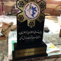 تندیس پلکسی /لوح تقدیر با جعبه/تندیس حجمی