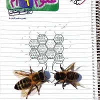 کتاب های کمک آموزشی هشتم و نهم