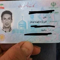 کیف کارت پیدا شده علی امر نژاد