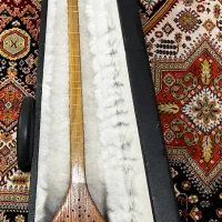 سه تار همراه با کیف