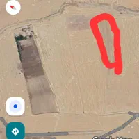 زمین کشاورزی