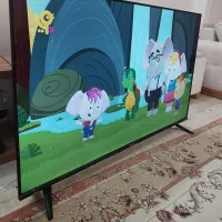 ال ای دی اسنوا ۵۵ گارانتی دار مناسب جهیزیه هوشمند