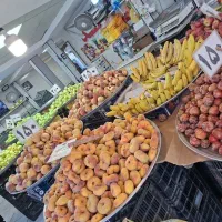 استخدام نیروی با تجربه‌ی میوه‌ و تره‌بار