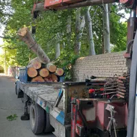 خریدهمه نوع چوب|خدمات باغبانی و درختکاری|چهارباغ, |دیوار