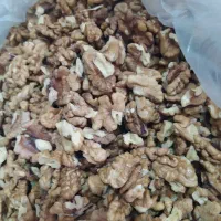 باغات لرستان|حراج|بومهن, |دیوار