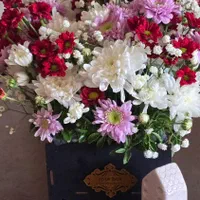 گل خاص برای مناسبت های خاص|گل و گیاه طبیعی|اصفهان, پروین|دیوار