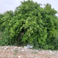 حفاری چاه عمیق ونیمه عمیق