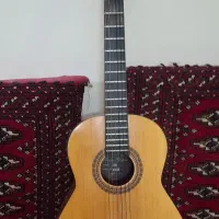 گیتار کلاسیک نو اموزان