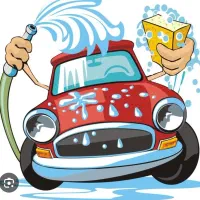 نیرو کارواش