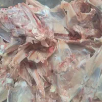اسکلت و گردن مرغ غذای سگ