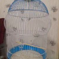 قفس پرنده کاملا نو