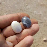 دوتا لامه داوودی کهنه|جواهرات|چهاردانگه (تهران), |دیوار