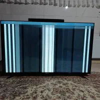 تلویزیون اسنوا