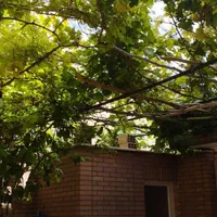 اجاره آپارتمان مبله شیک تمیزمرکزشهر اصفهان آتشگاه|اجارهٔ کوتاه‌مدت آپارتمان و سوئیت|اصفهان, گورتان|دیوار