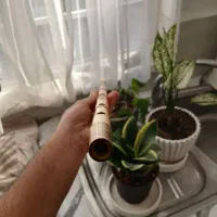 نی هفت بند