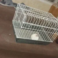 جعبه خرگوش یا بچه گربه