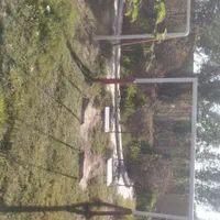 خرمشهر. محرزی نهر۱۰ باغ گل نرگس|اجارهٔ کوتاه‌مدت ویلا و باغ|خرمشهر, |دیوار