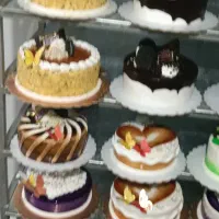 پخش و فروش انواع کیک و تر