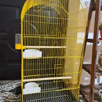 قفس بزرگ سالم