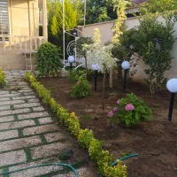 باغبانی ، درختکاری و طراحی فضای سبز|خدمات باغبانی و درختکاری|فومن, |دیوار