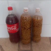 غوره و آبغوره طبیعی