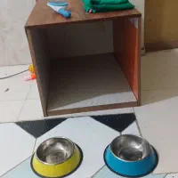 توله ژرمن ورک|سگ|تبریز, |دیوار