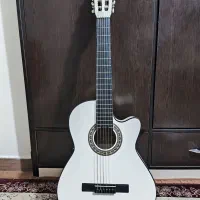 گیتار دیاموند مدل کات