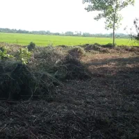 علفتراشی با دستگاه