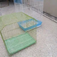 قفس پرنده