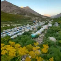 عسل ارگانیک طبیعی