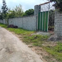 ۲۵۰ متر زمین داخل بافت|فروش زمین و ملک کلنگی|زرگرشهر, |دیوار