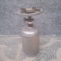 پیگ نیک سالم استیلی